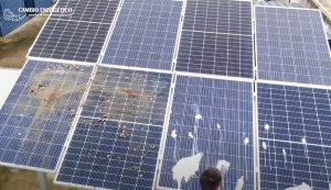 Por Que pueden pitar las placas solares